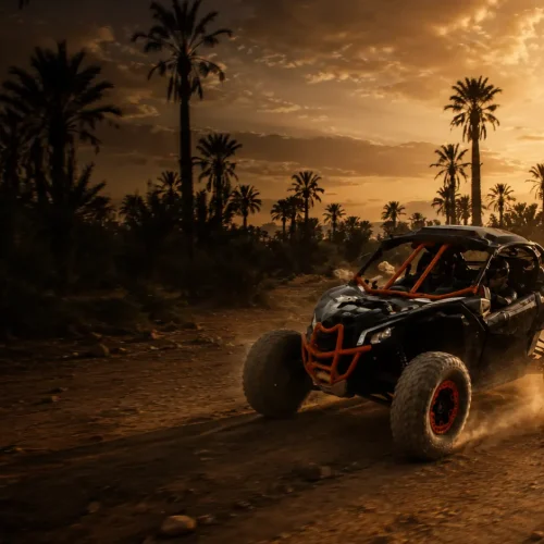 buggy-tour-palmeraie-marrakech-sunset.
