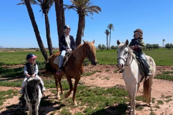 horseback-riding-marrakech-palmeraie-sunset-scaled.webp
